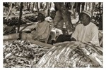 CAMERUN MERCADO HOMBRES PESCADO