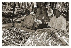 CAMERUN MERCADO HOMBRES PESCADO