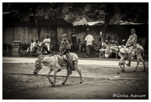 CAMERUN NIÑOS BURROS