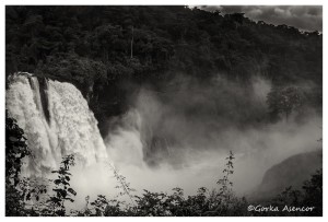 CAMERUN CATARATA