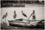 FOTO AFRICA LAGO AWASA ETIOPIA NIÑOS PELICANOS