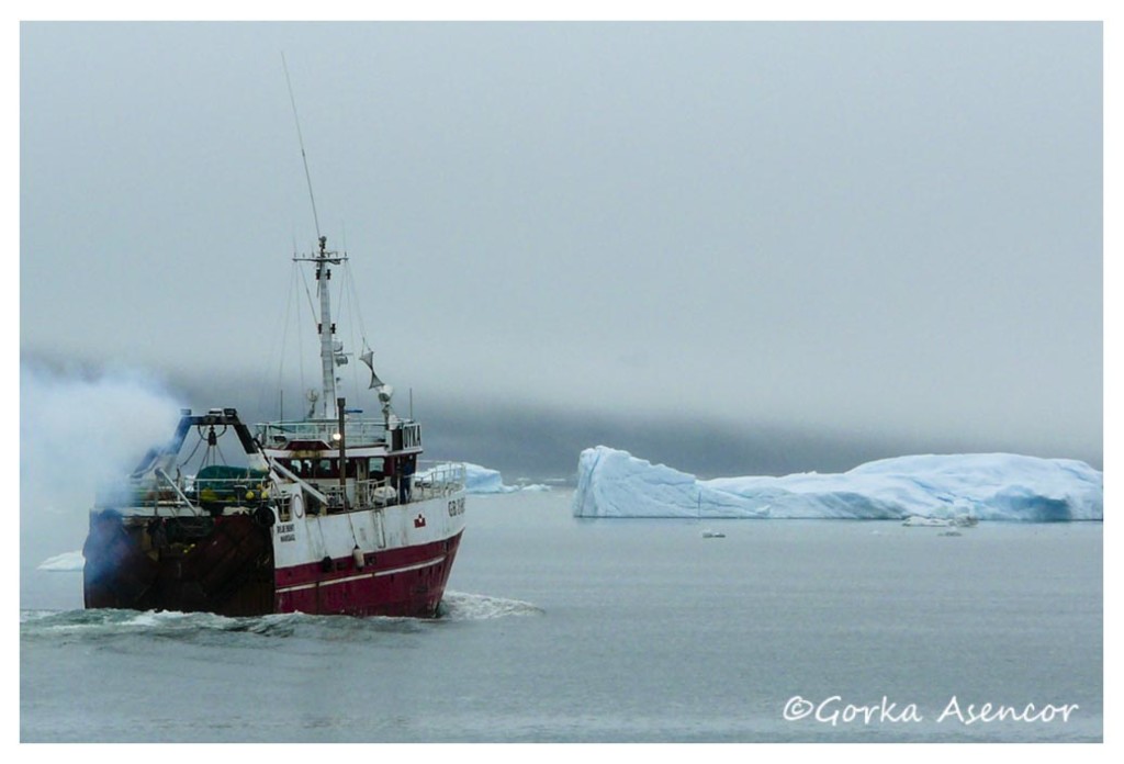 GREENLAND HIELO NASAQ PIRAGUA