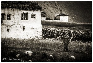 INDIA NIÑO CAMPESINO