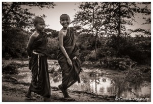 BIRMANIA MYANMAR NIÑOS MONJES BUDISTAS