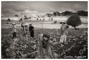 BIRMANIA MYANMAR CAMPESINOS